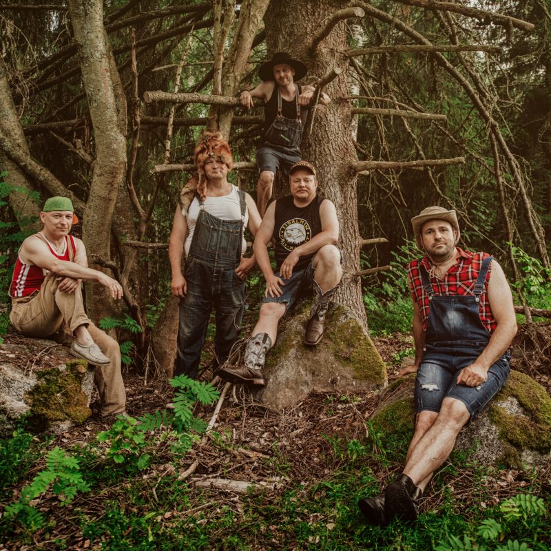 STEVE'N'SEAGULLS - Halle Verrière